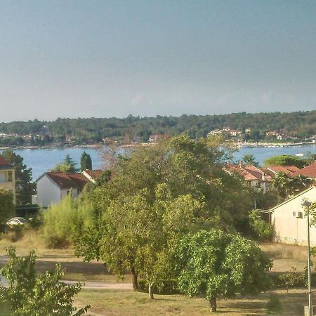 Delfin Novigrad (Istria) Exterior foto