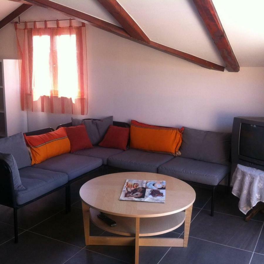 Delfin Novigrad (Istria) Exterior foto