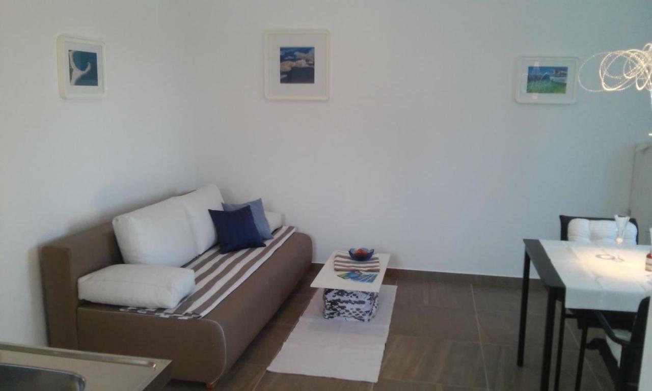Delfin Novigrad (Istria) Exterior foto