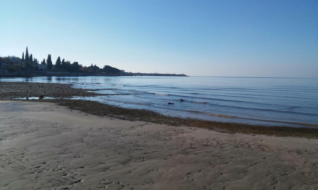 Delfin Novigrad (Istria) Exterior foto