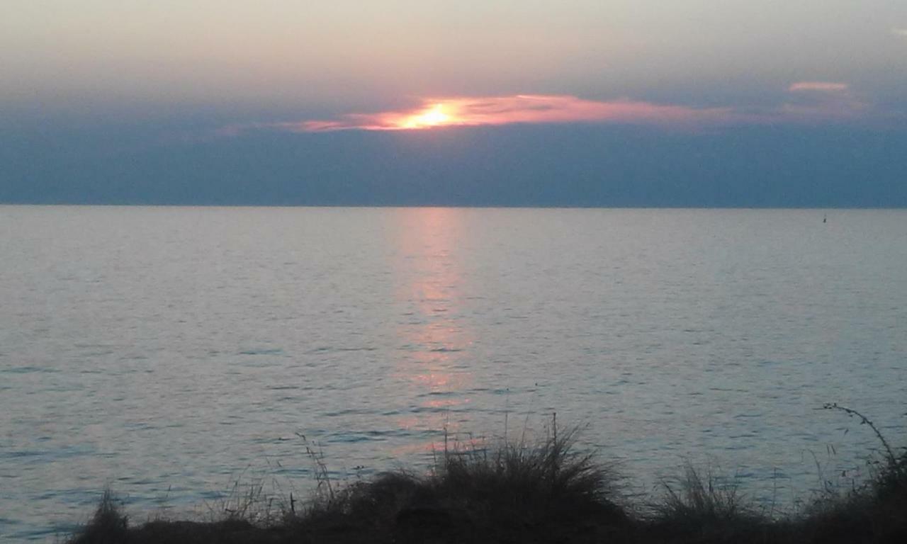 Delfin Novigrad (Istria) Exterior foto